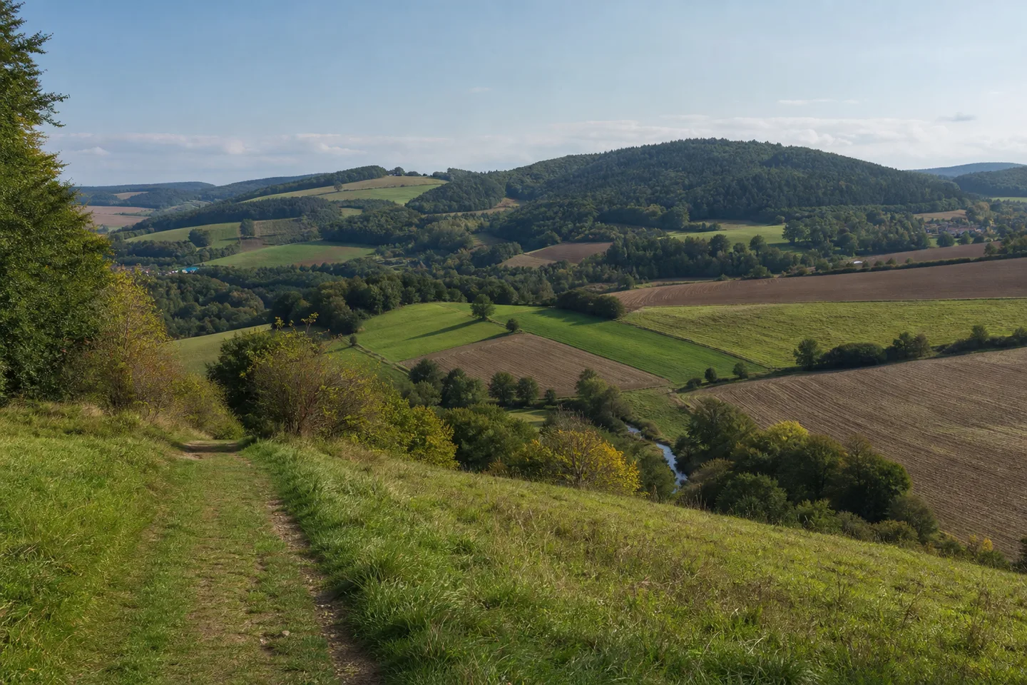 Nordpfälzer Hügellandschaft bei Rockenhausen mit Wiesen, Äckern und bewaldeten Kuppen über einem schmalen Tal.