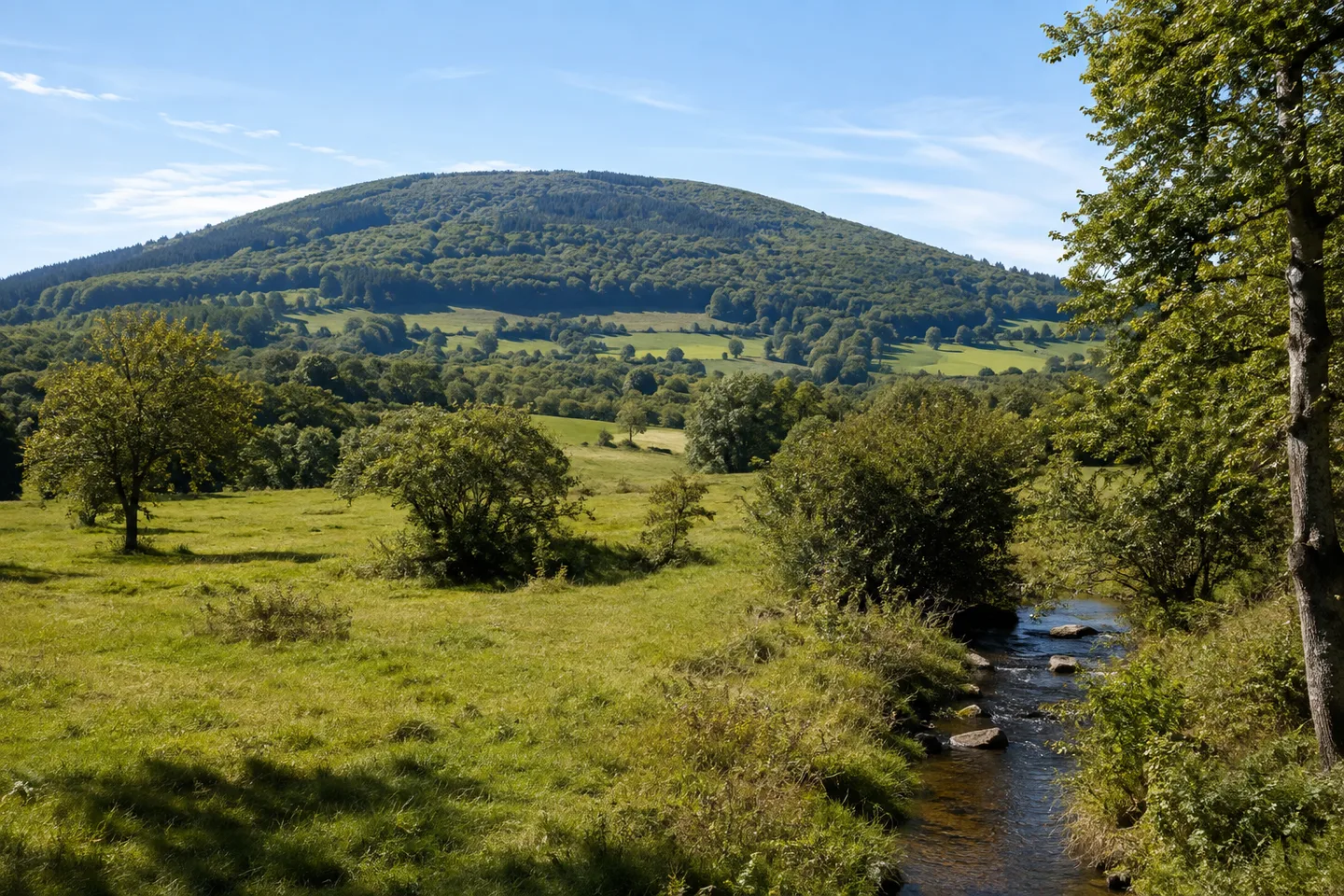 Donnersberger Land: Breiter bewaldeter Donnersberg als rundes Mittelgebirgsmassiv über Wiesen am östlichen Bergfuß bei Dannenfels.