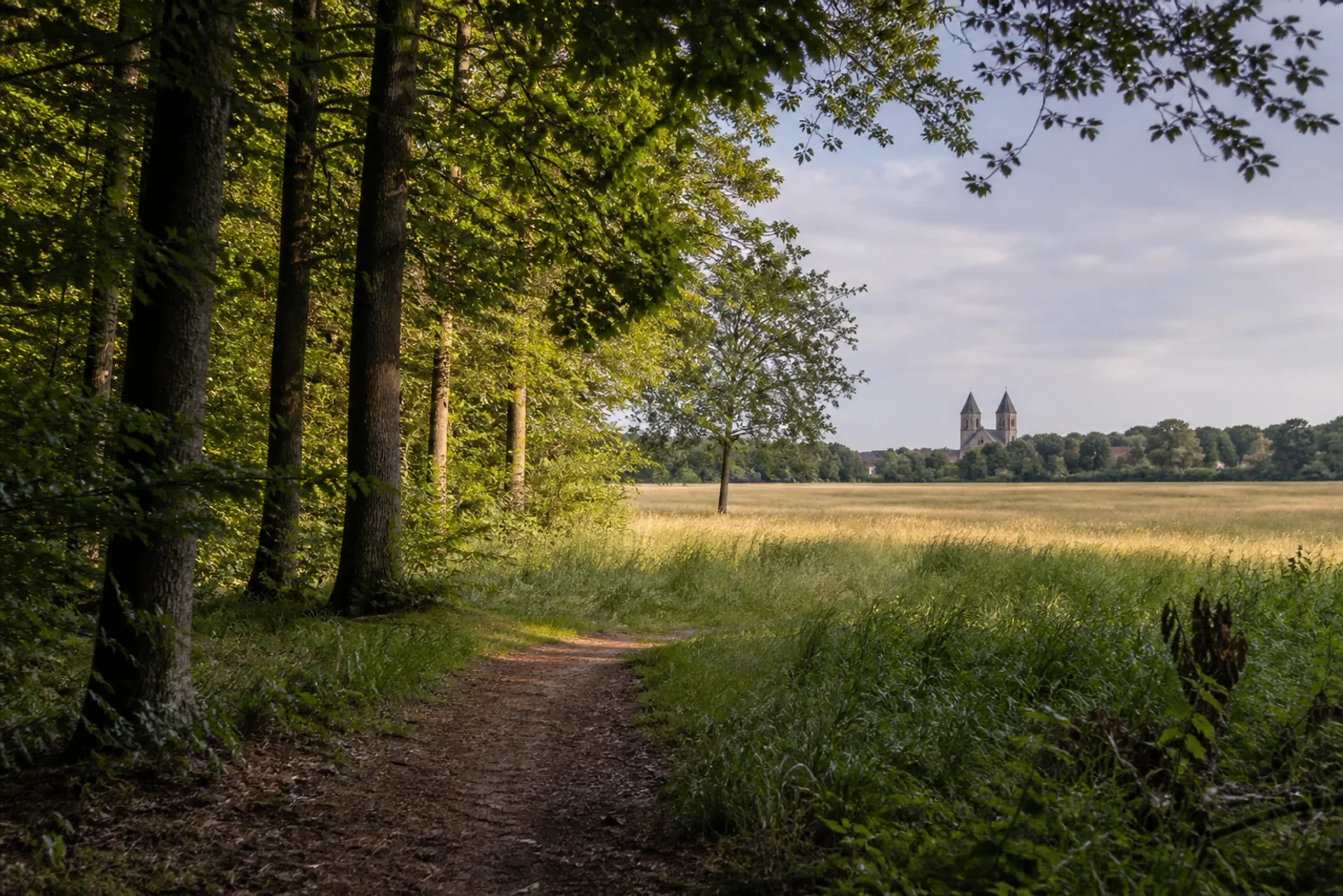 Waldweg bei Kloster Knechtsteden