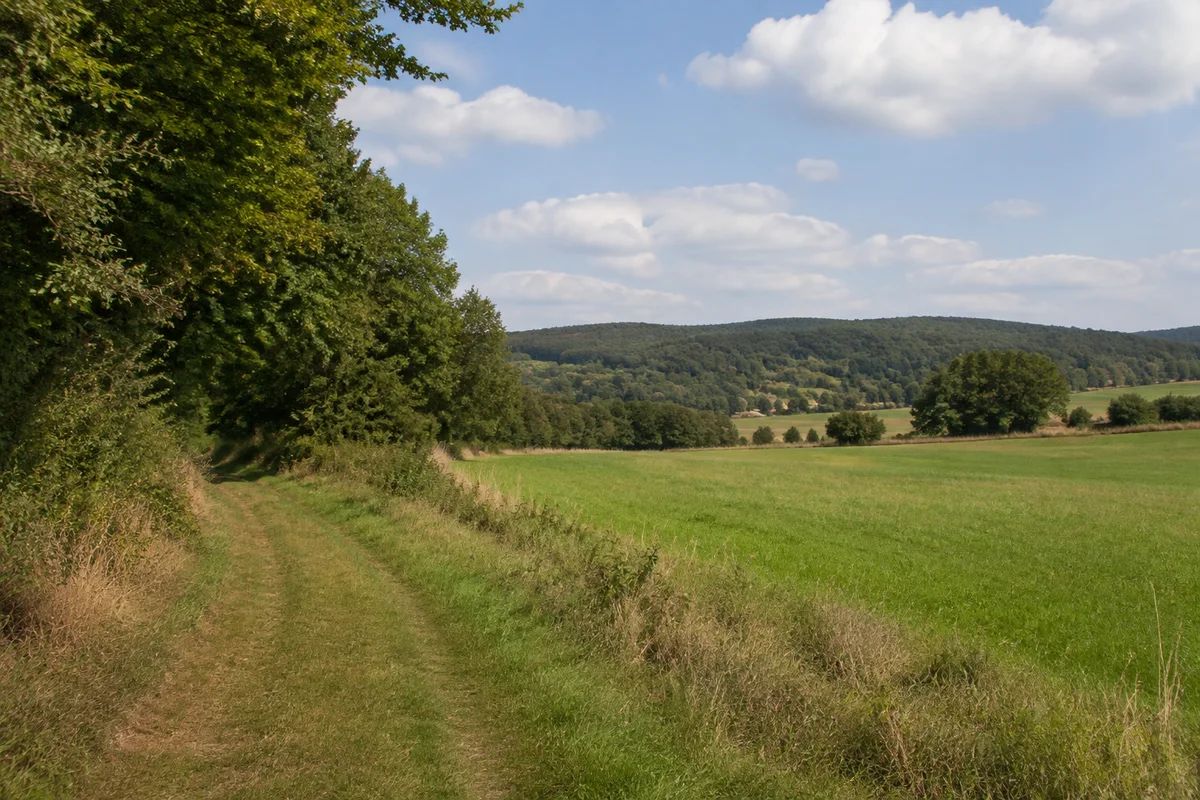 Wanderweg zwischen Waldsaum und grünen Weiden bei Fuhrbach, niedrige bewaldete Hügel des Untereichsfelds