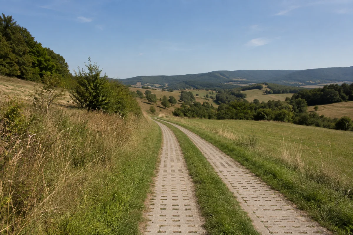 Grasiger Streifen und historischer Betonplattenweg mit zwei Fahrspuren und Lochplatten nahe Gerblingerode, hügelige Wiesen und Wald, ohne Wachturm