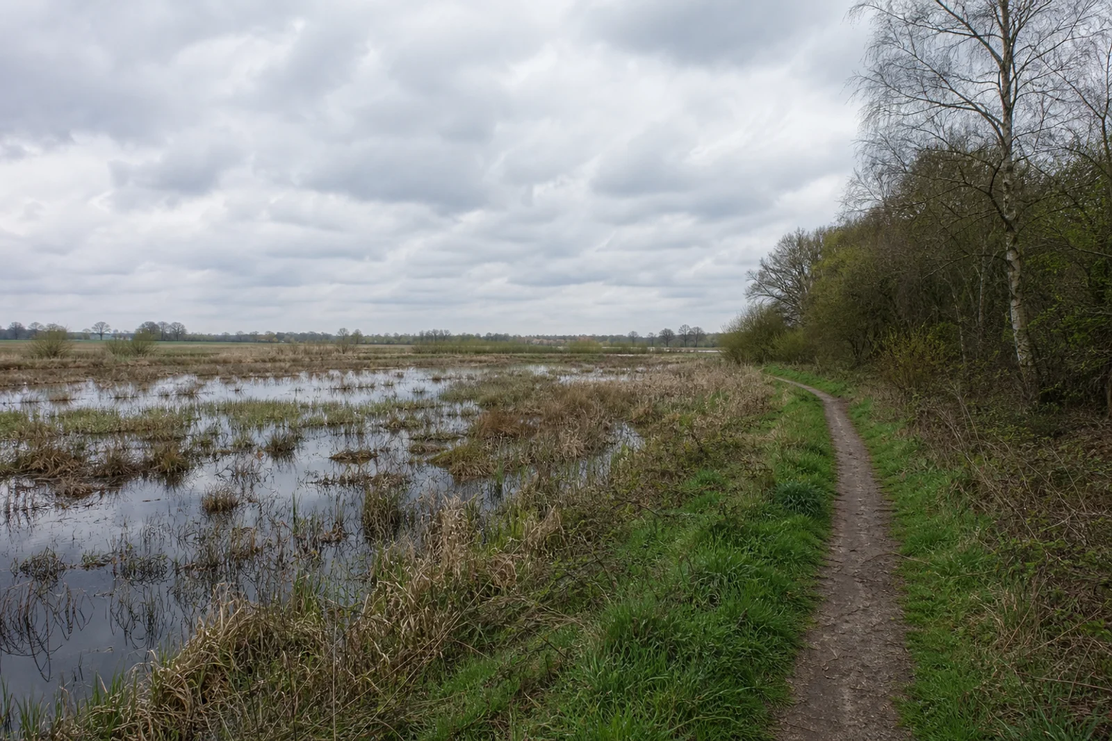 Wasser und Feuchtwiesen bei Hausdülmen