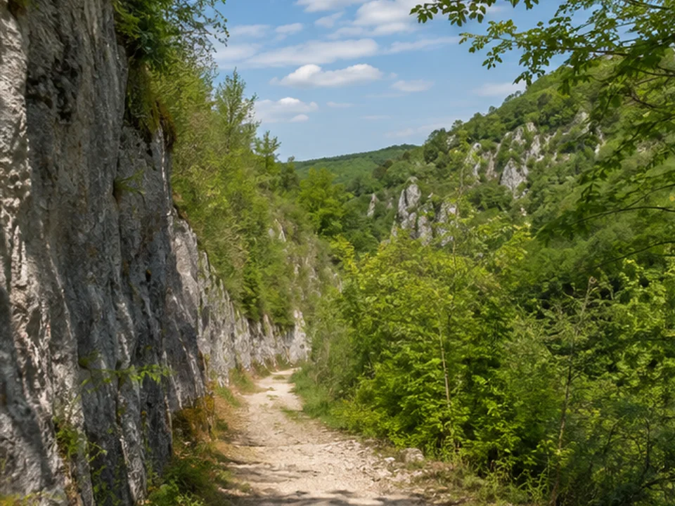 Leinleitertal: Bachweg unter Kalkhängen