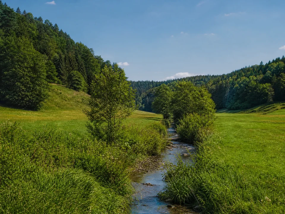 Tal der Mittleren Ebrach: Kleiner Bach im grünen Wiesental bei Ebrach mit niedrigen bewaldeten Hängen und einzelnen Ufergehölzen