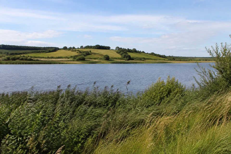 Windebyer Noor: Flacher Binnensee mit Schilfrand, Wiesen und niedrigen eiszeitlichen Hügeln