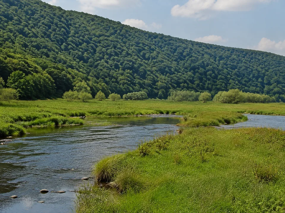 Herzhausen: Ederzufluss mit Auen und bewaldetem Nationalparkhang