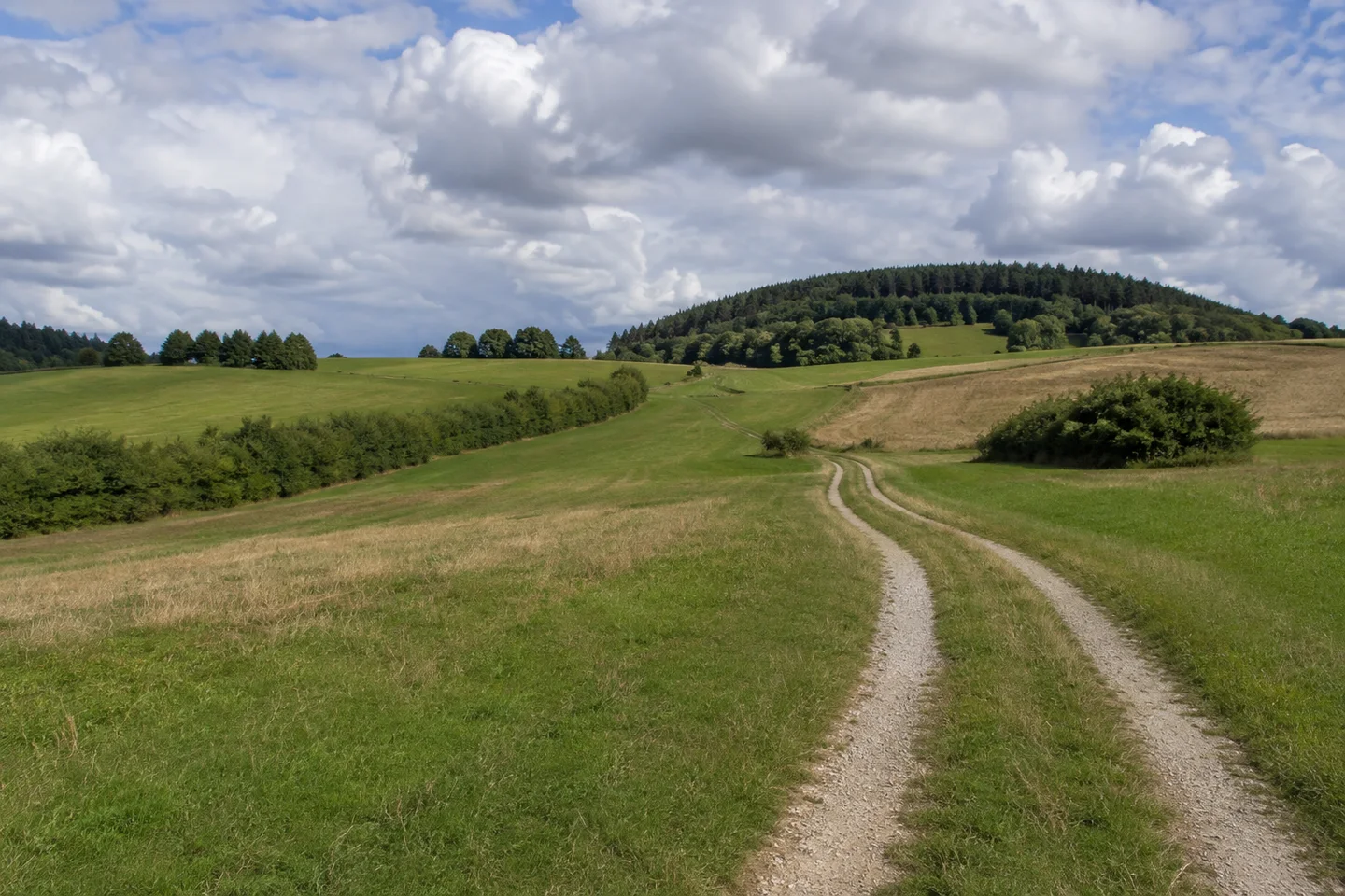 Offene Wiesen und Felder auf der Jurahöhe bei Thuisbrunn, gewundener Feldweg, kleine Hecken, bewaldete Kuppen unter wechselnden Wolken.