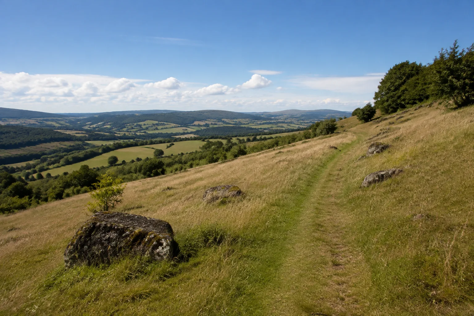 Seifertser Rhönlandschaft: Wiesenweg auf sonnigem Talhang mit vereinzelten dunklen Basaltsteinen und weitem Blick über niedrige Höhen.
