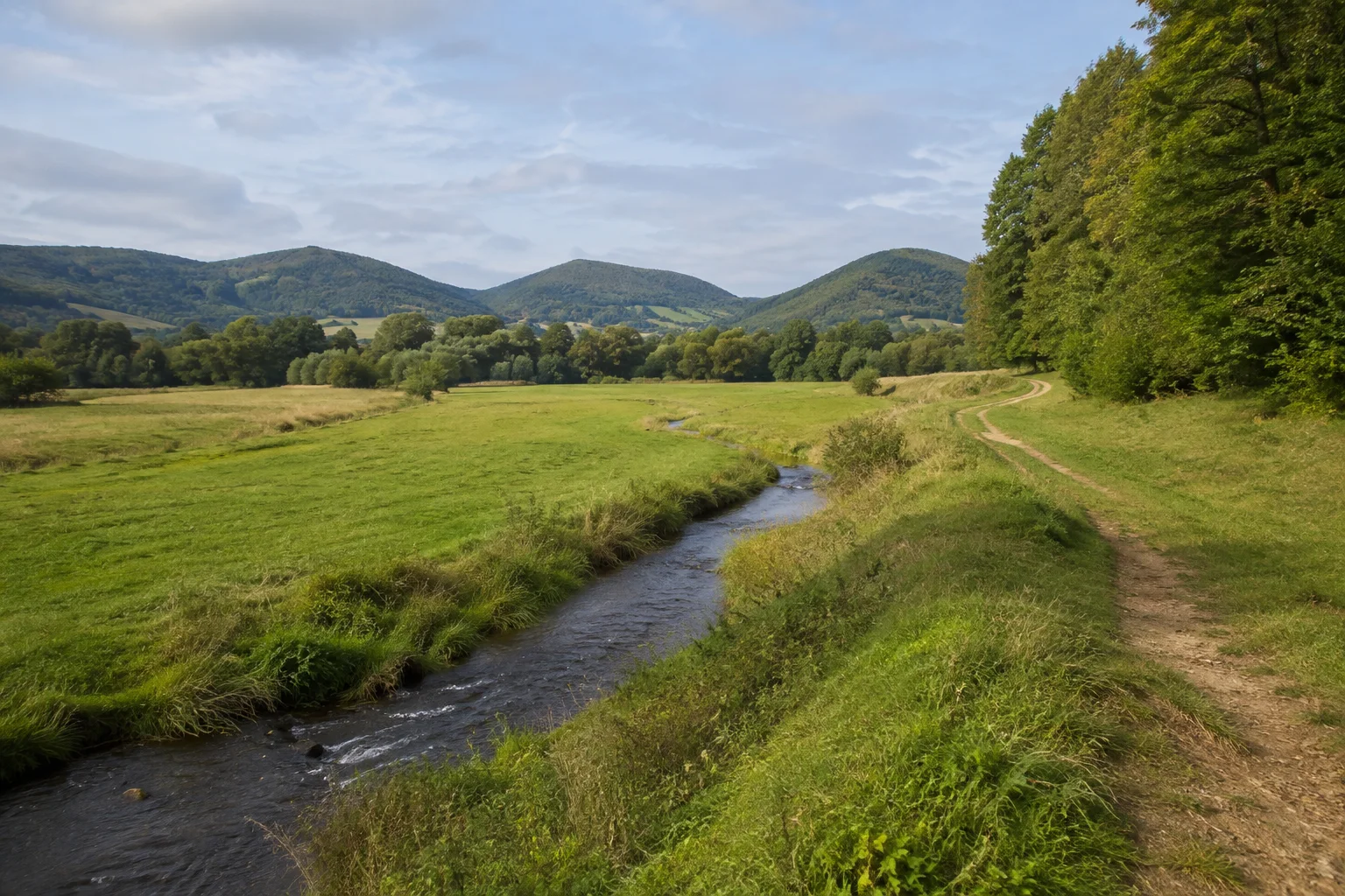 Ehrenberg (Rhön): Ulstertal bei Wüstensachsen: kleiner Bach in breiter grüner Talwiese vor runden Rhönbergen, Weg am Wiesenrand.