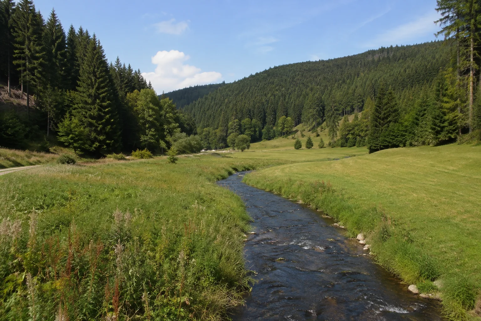 Wildenthaler Tal: schmaler Bach durch eine Wiese zwischen dicht bewaldeten Mittelgebirgshängen