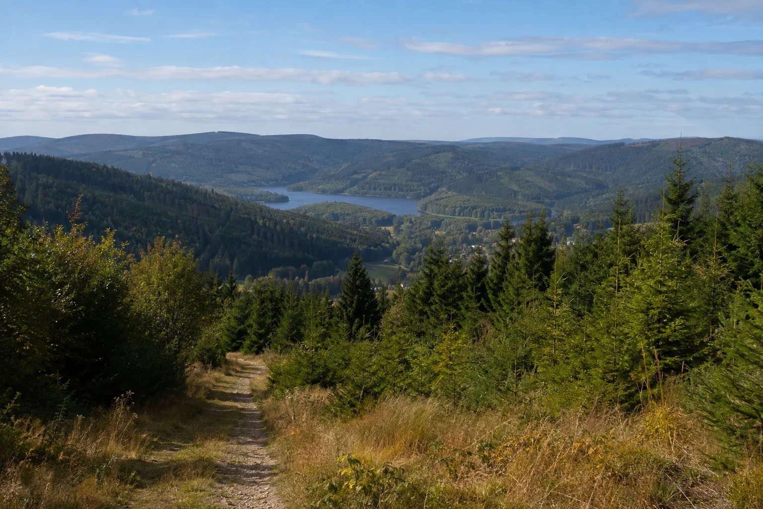 Eibenstock: Eibenstocker Waldlandschaft: ausgedehnte dunkle Fichtenwälder auf rundlichen Erzgebirgshöhen mit einem entfernten Stauseearm