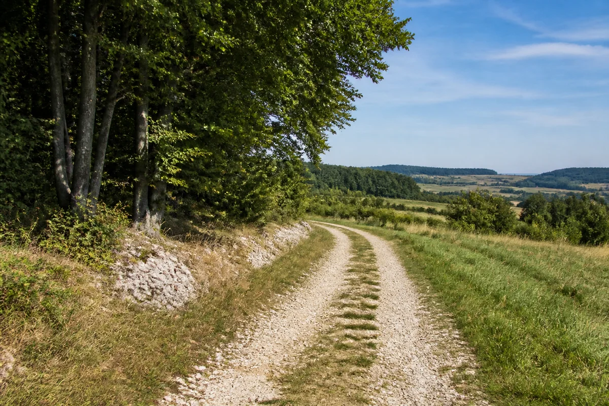 Feldweg auf Muschelkalkhochfläche im Eichsfeld, kleine helle Kalksteine am Wegrand, Buchenwaldsaum und Wiesen