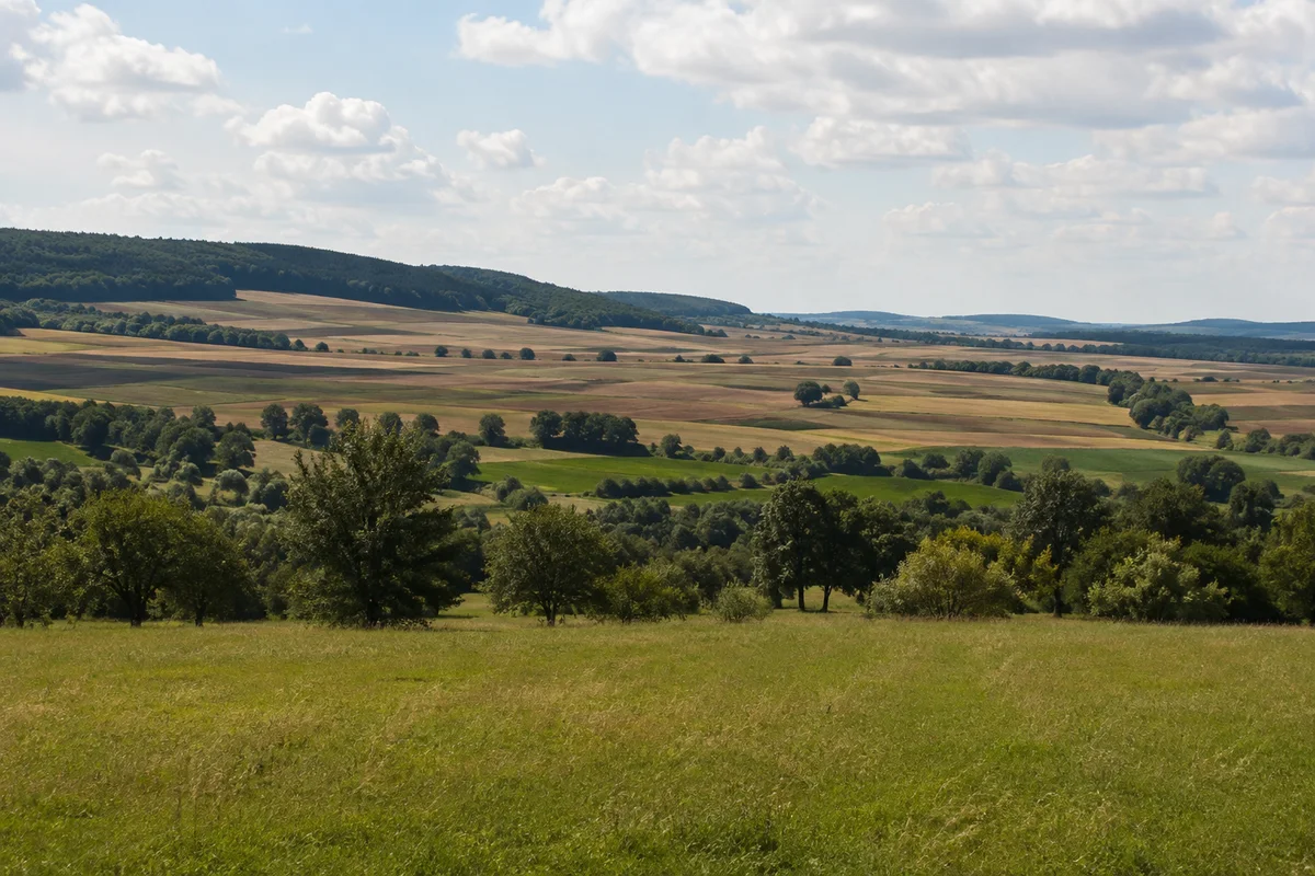 Eichsfeld: Duderstadt: Weite sanft hügelige Kulturlandschaft der Goldenen Mark, Ackerstreifen und Streuobstwiesen, niedrige bewaldete Höhen