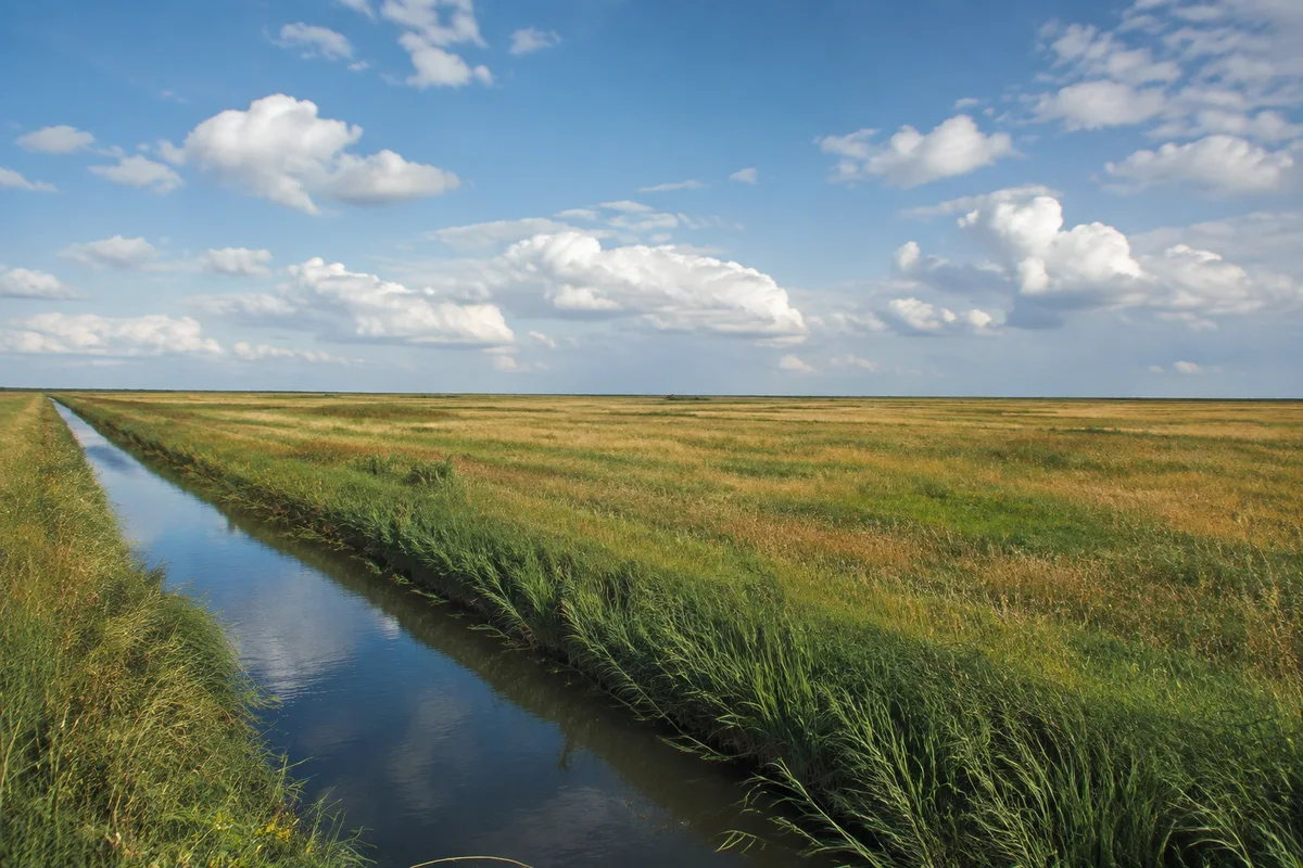 Westerhever Marsch: Flache Küstenweiden mit schmalen Wassergräben unter hohem Nordseehimmel ohne erfundenen Leuchtturm