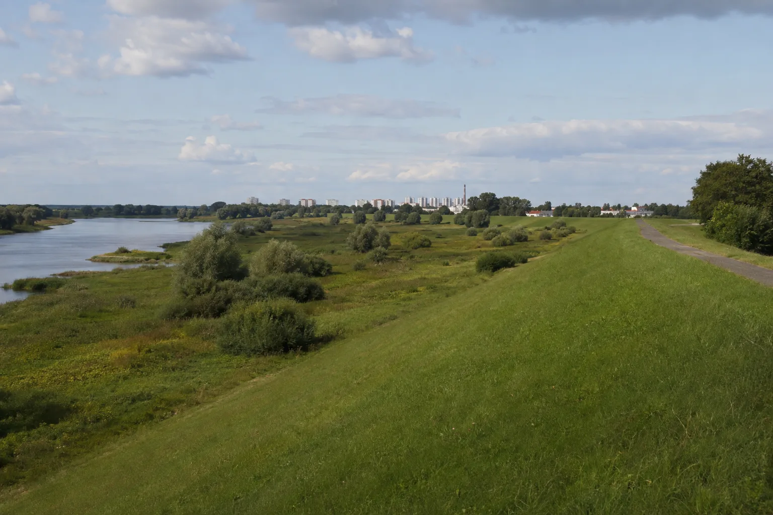 Fürstenberger Oderufer: Flussdeich, Auwiesen und historische Stadtränder