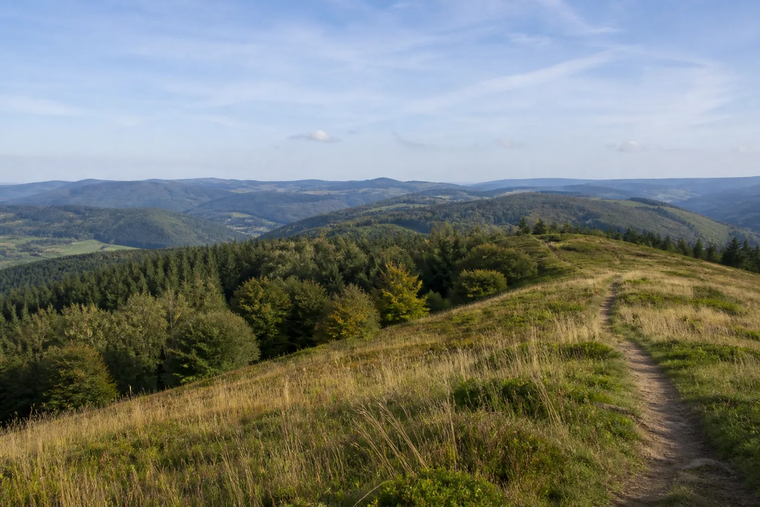 Aussichtsweg auf der Alten Grimme