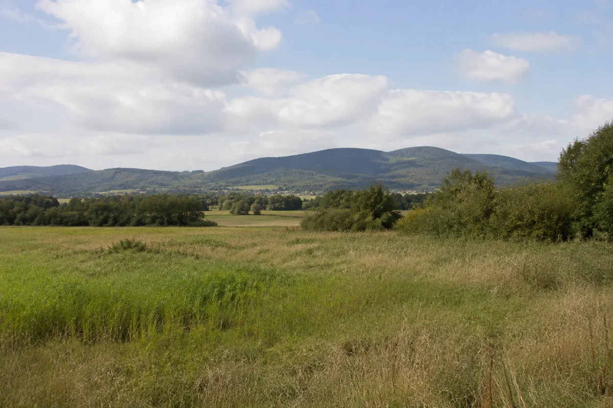 Offene feuchte Wiese mit Gehölzsaum bei Werna, Blick auf niedrige waldbedeckte Harzhügel