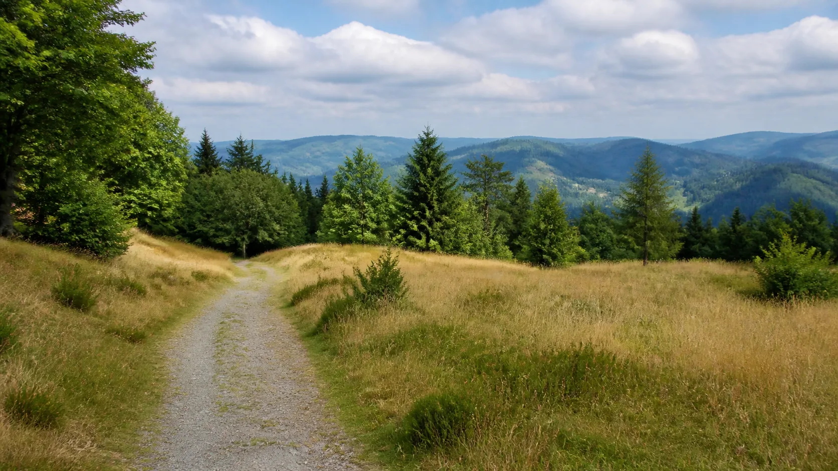 Höhenweg am Plackweg