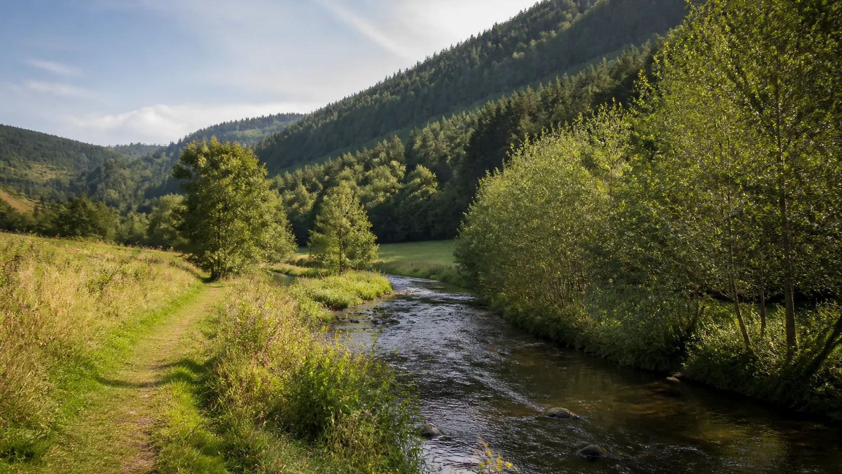 Elpe: Elpetal bei Olsberg