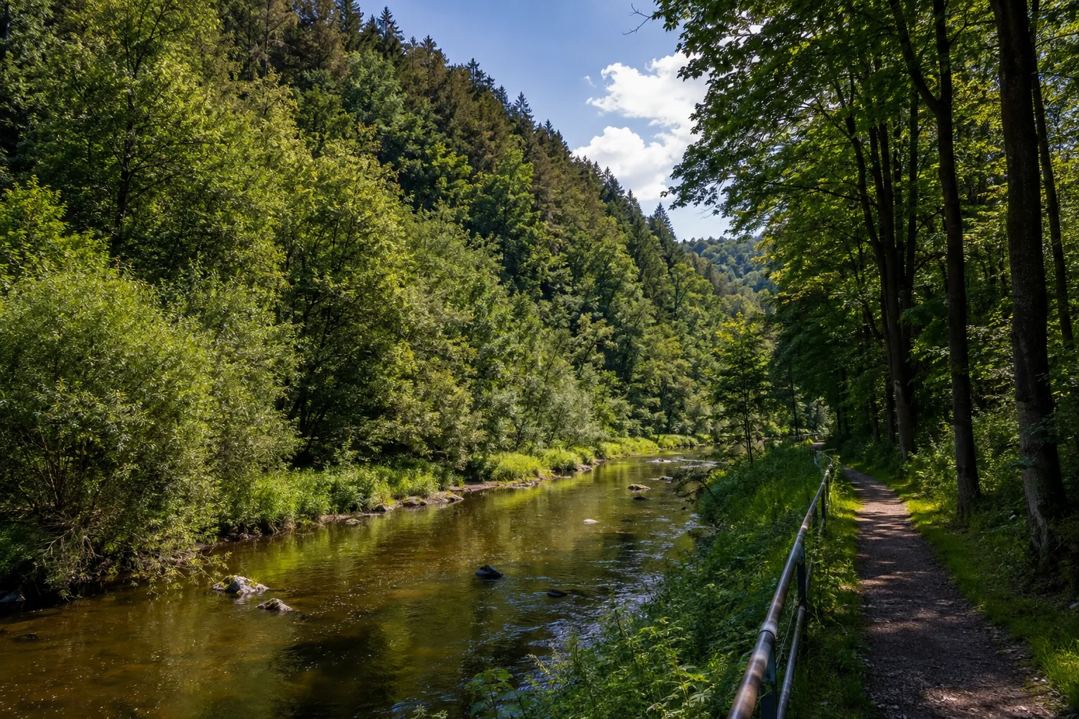 Neumühler Waldtal: ruhiger kleiner Fluss in einem eingeschnittenen, dicht bewaldeten Mittelgebirgstal
