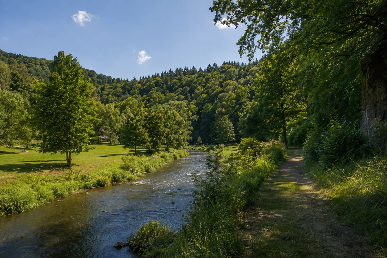 Elsterperlenweg: Greizer Elstertal: schmaler Fluss mit grünen Parkwiesen unter bewaldeten sanften Hängen