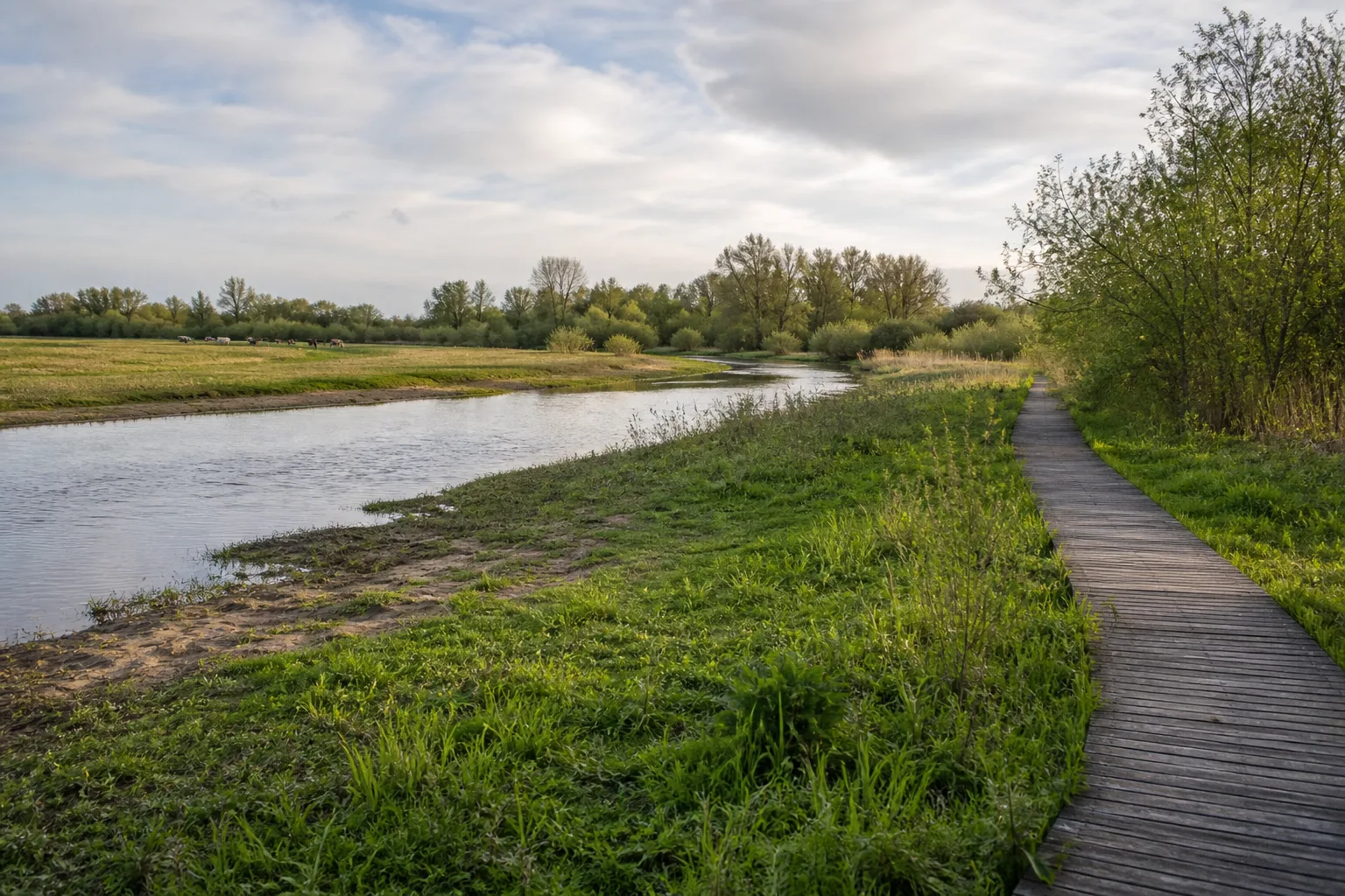 Steg und Wiesenweg in der Emsdettener Emsaue