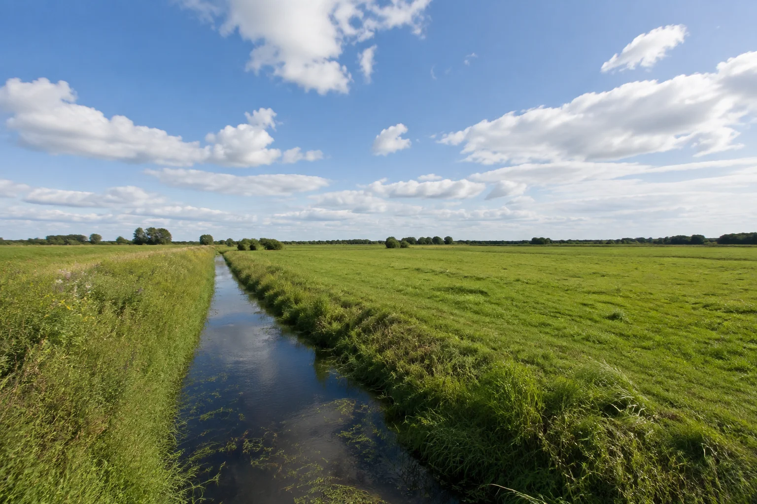 Niederung bei Aschendorf mit Entwässerungsgraben, Weideland und weitem Himmel
