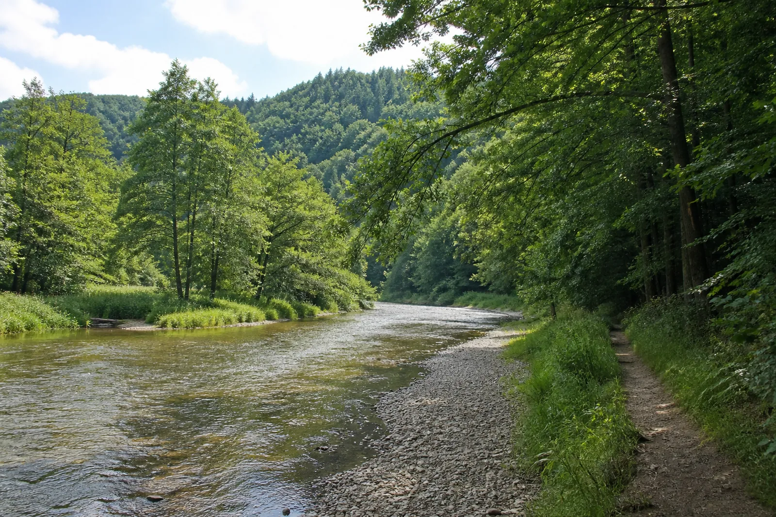 Wanderweg in der Aggeraue