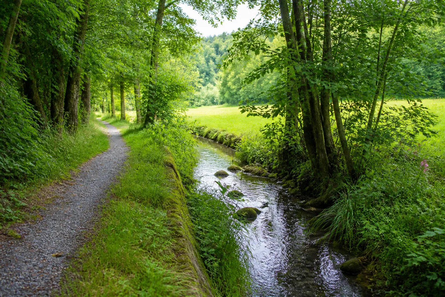Bolldammbachtal in Enger