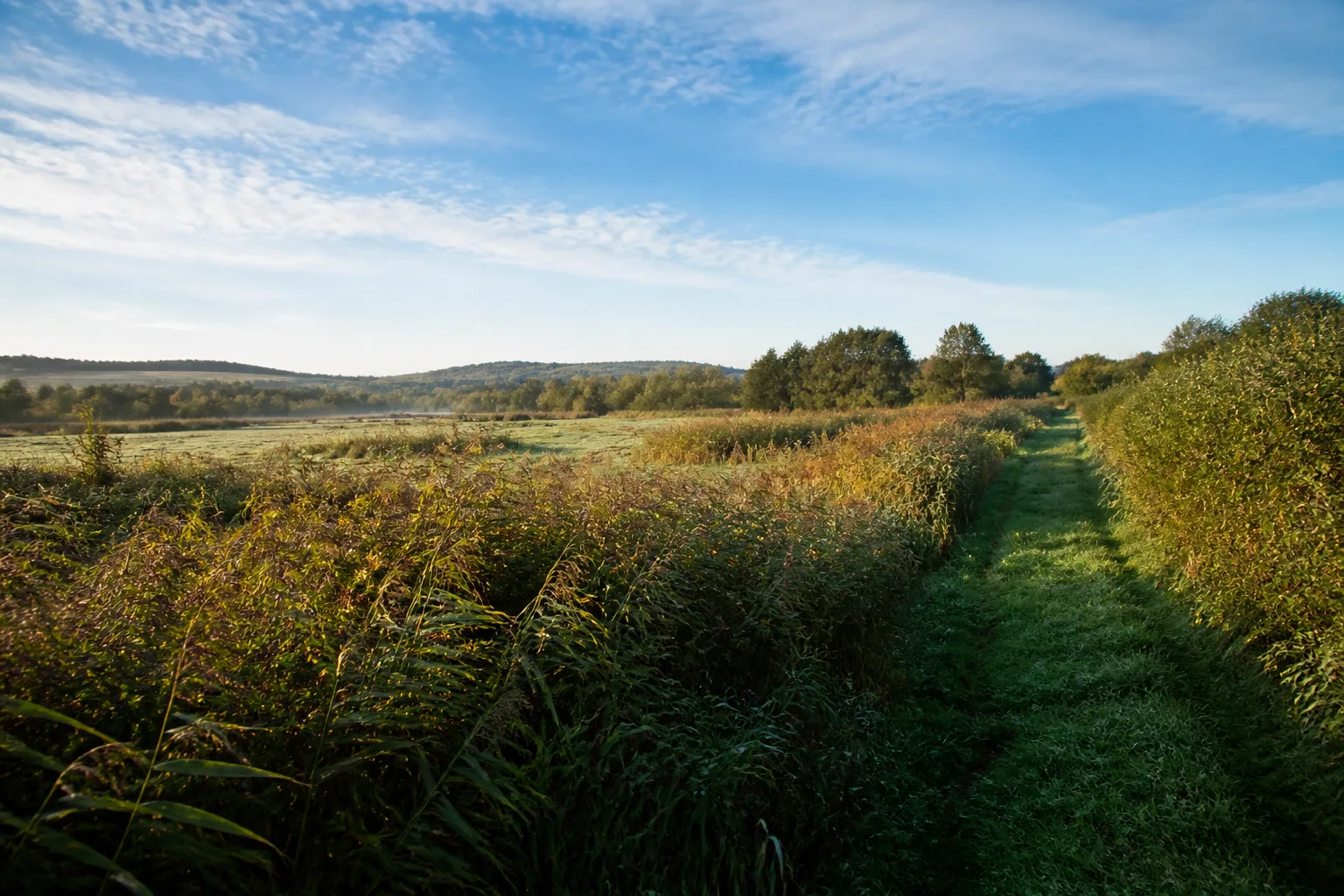 Enger: Enger Bruch beim Wandern