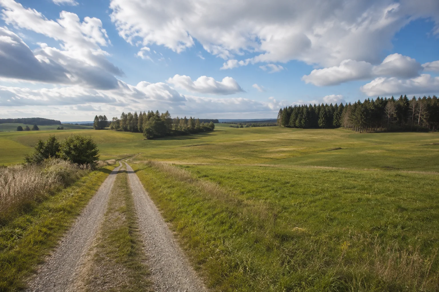 Wildenreuther Hochfläche: leicht gewelltes Grünland mit Feldweg und kleinen Waldinseln.