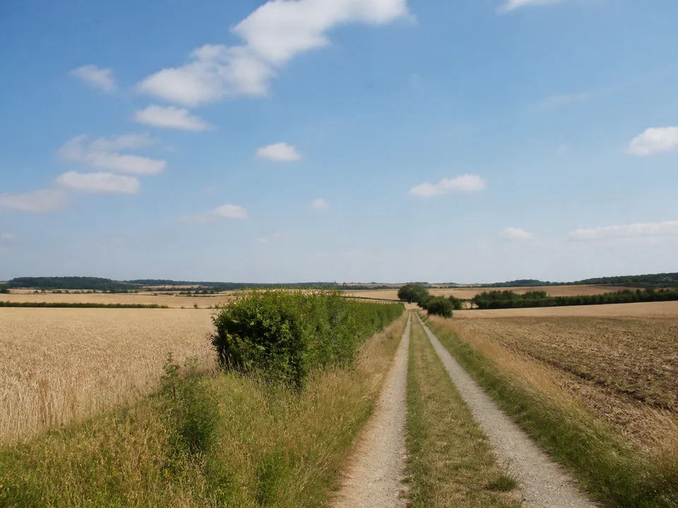 Feldflur bei Alach: Offener leicht welliger Ackerraum mit geradem Feldweg und einzelnen Hecken
