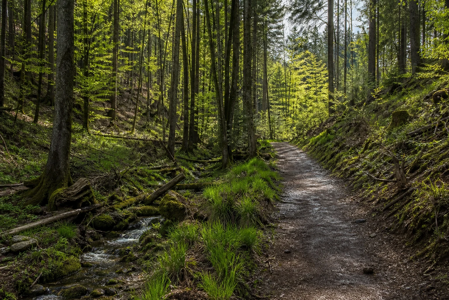Wüstebach bei Erkensruhr