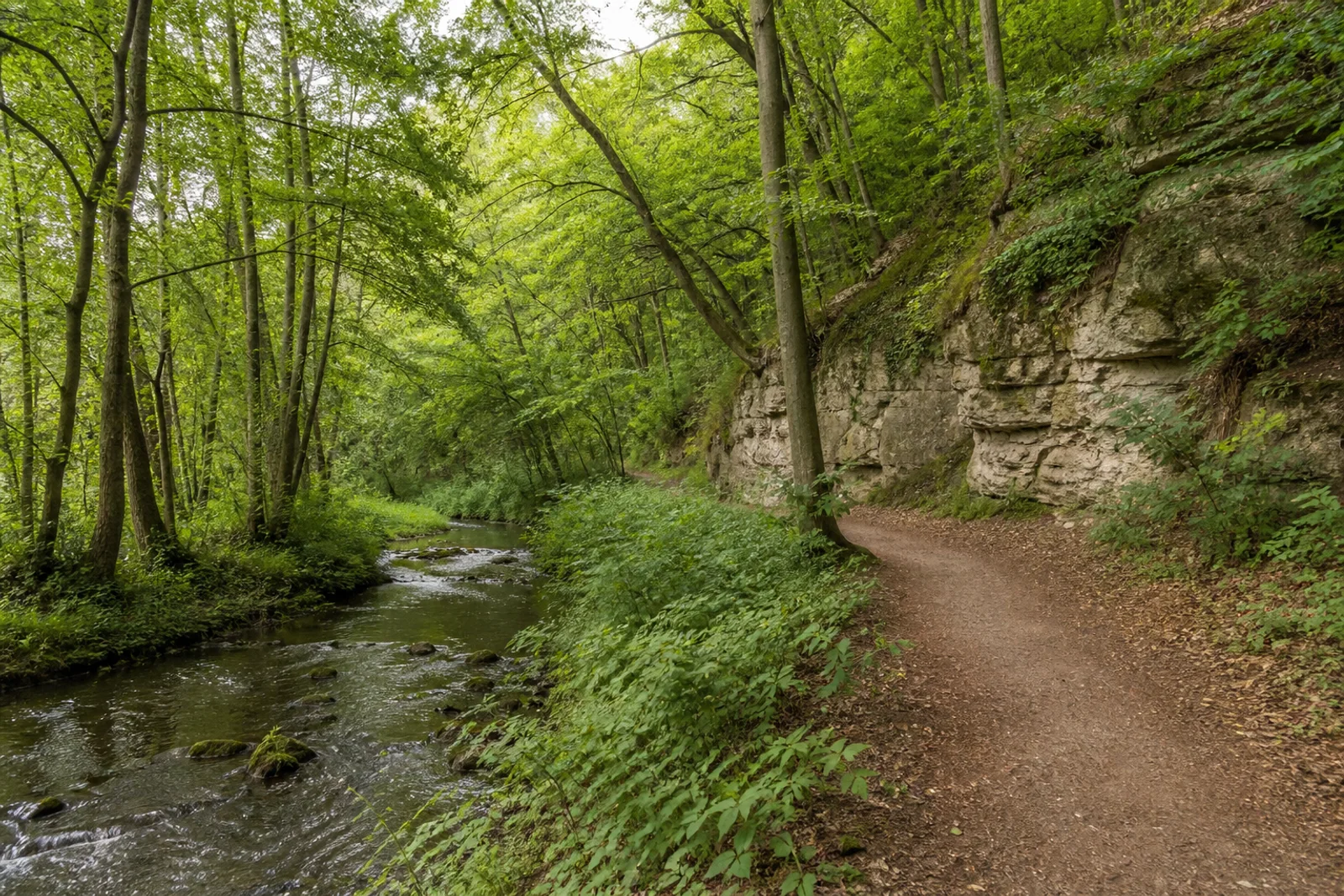 Waldweg an der Düssel im Neandertal