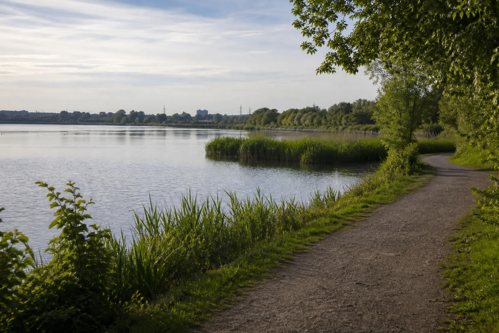 Weg am Unterbacher See bei Erkrath