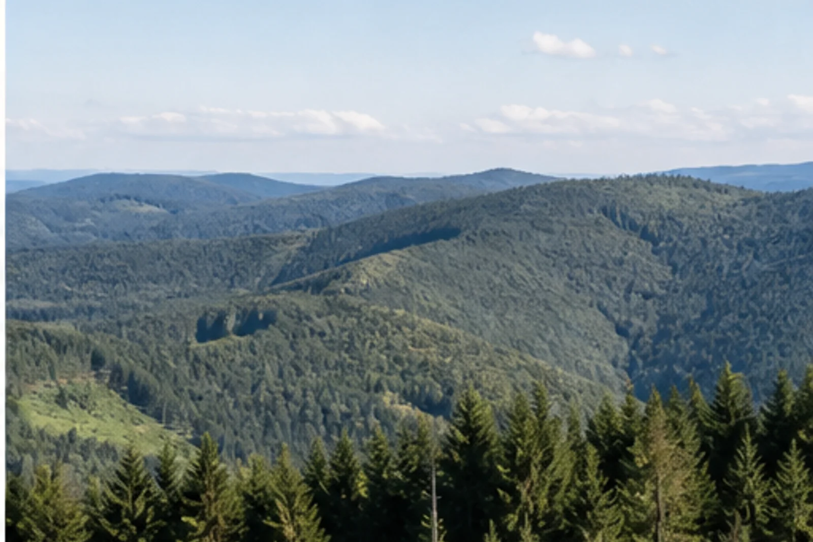 Offene Wiese am Rothaarkamm