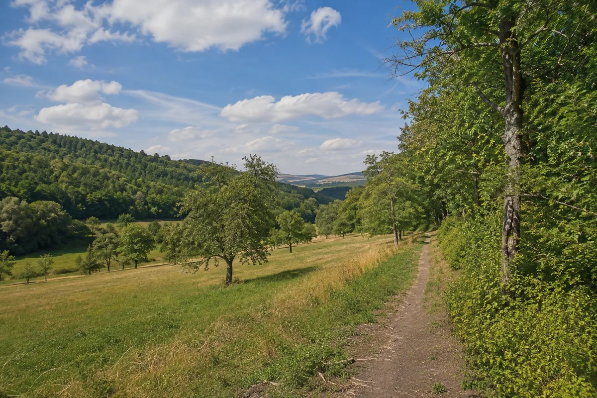 Oberdünzebach: Streuobstwiese und schmaler Weg zwischen Talwiesen und Laubwald