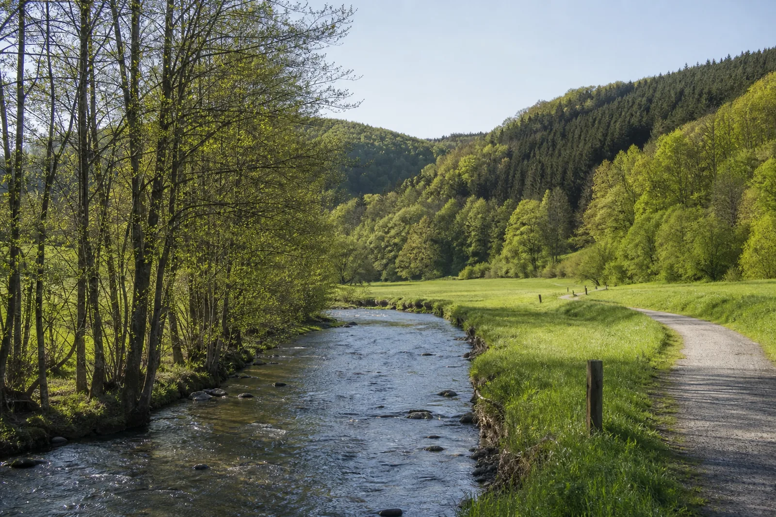 Wanderweg an der Wenne