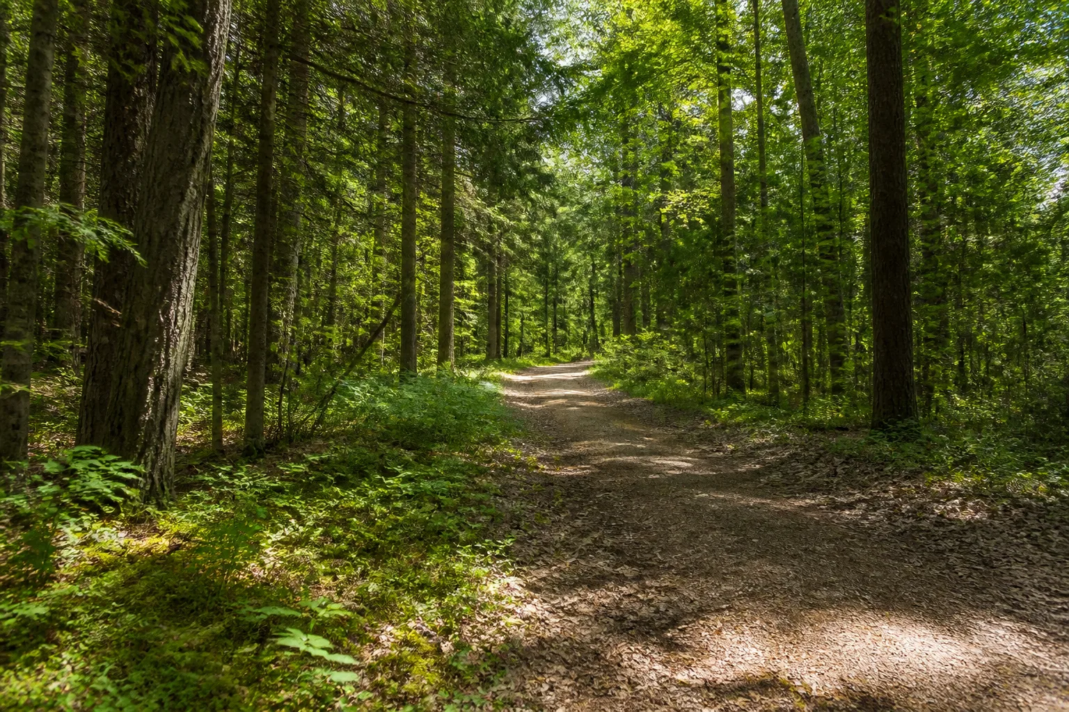 Osterwald in Espelkamp