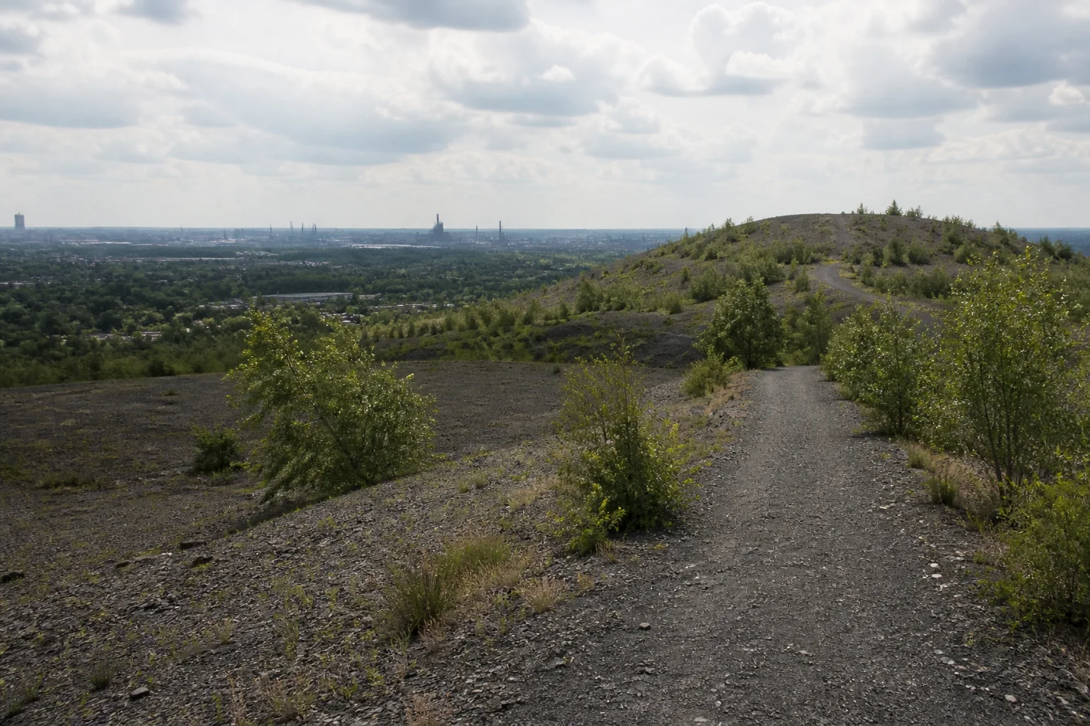 Weg über eine begrünte Haldenlandschaft im Norden von Essen