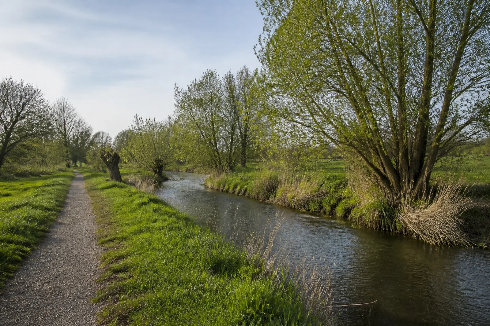Uferweg an der kleinen Erft zwischen Wiesen und Kopfweiden in Euskirchen