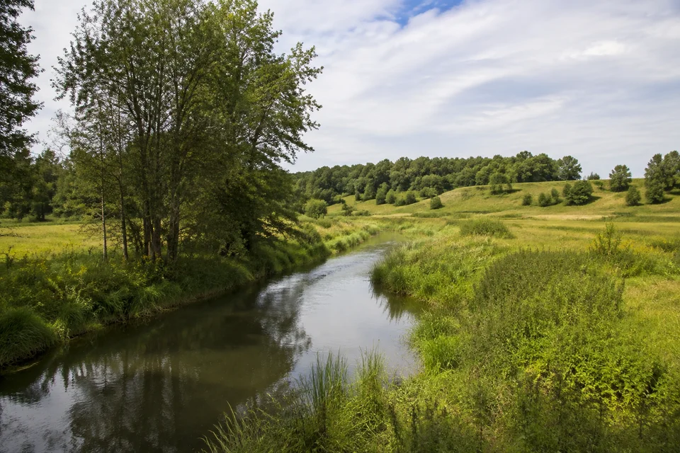 Fissauer Landschaft: Kleiner Fluss zwischen Wiesen, Erlen und sanften grünen Moränenhügeln