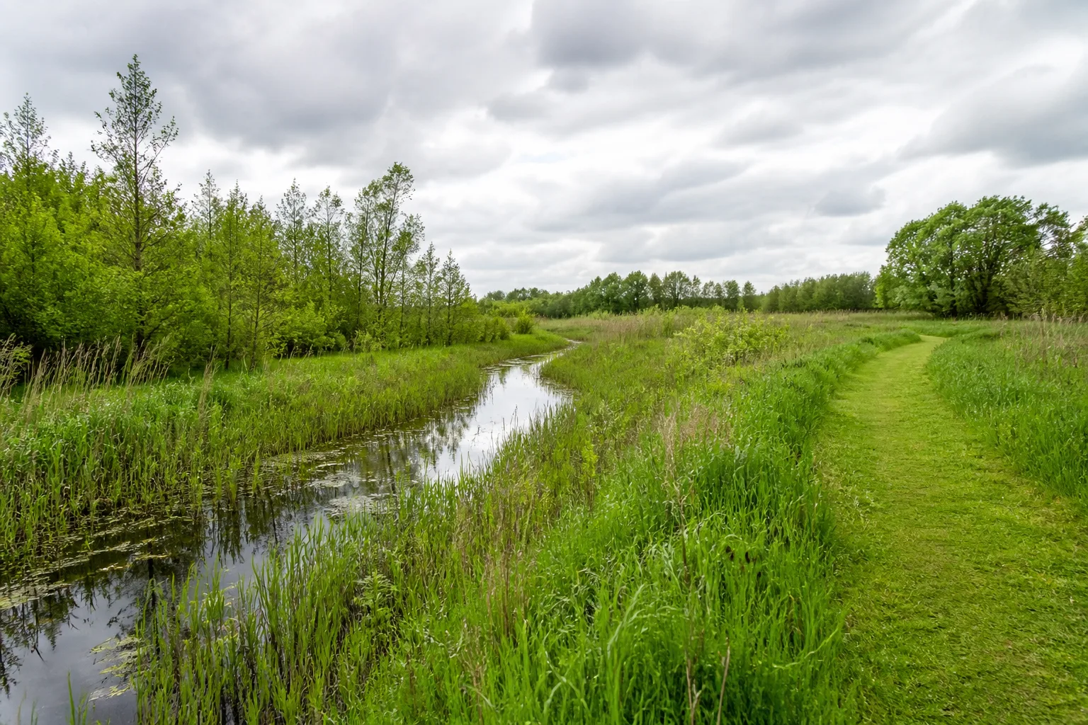 Everswinkel: Dorffeld