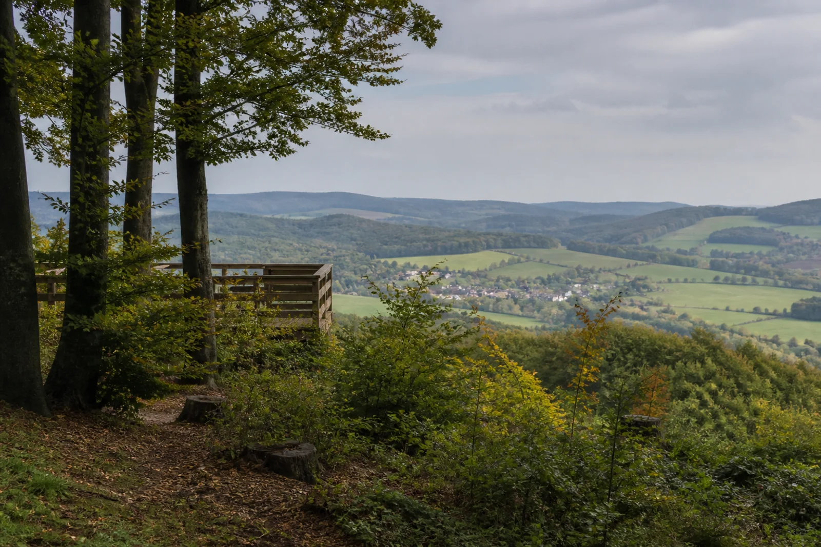 Aussicht von der Hohen Asch über bewaldete Hügel
