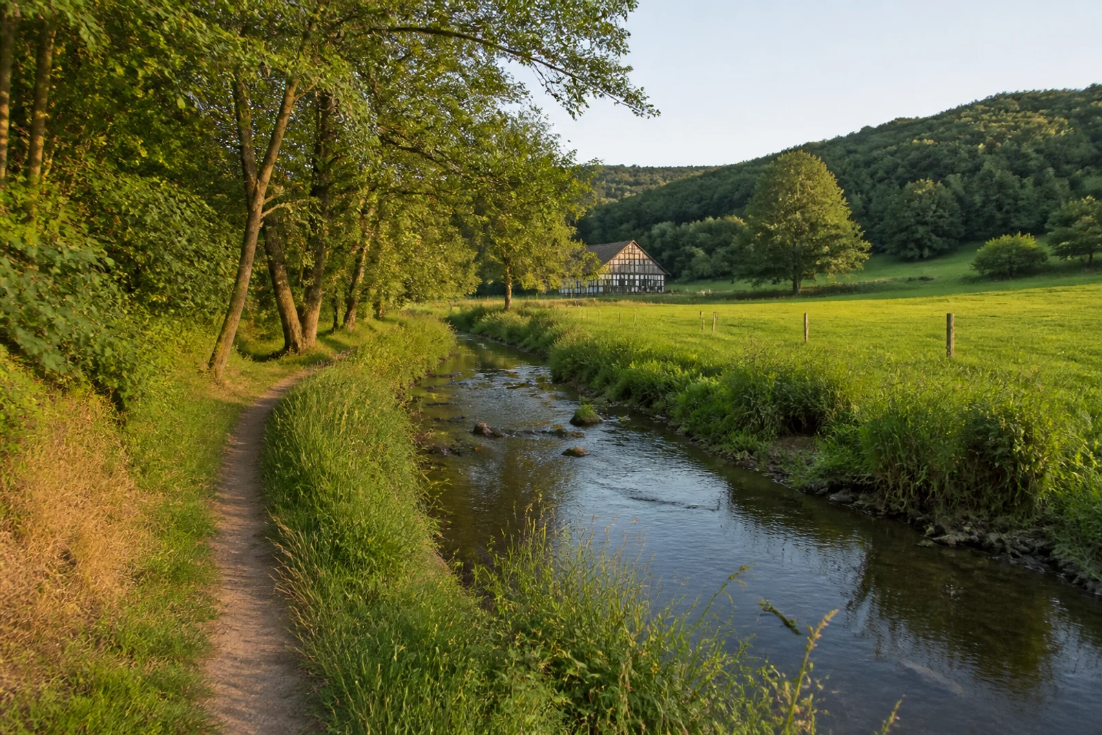 Bachweg entlang der Exter durch Wiesen