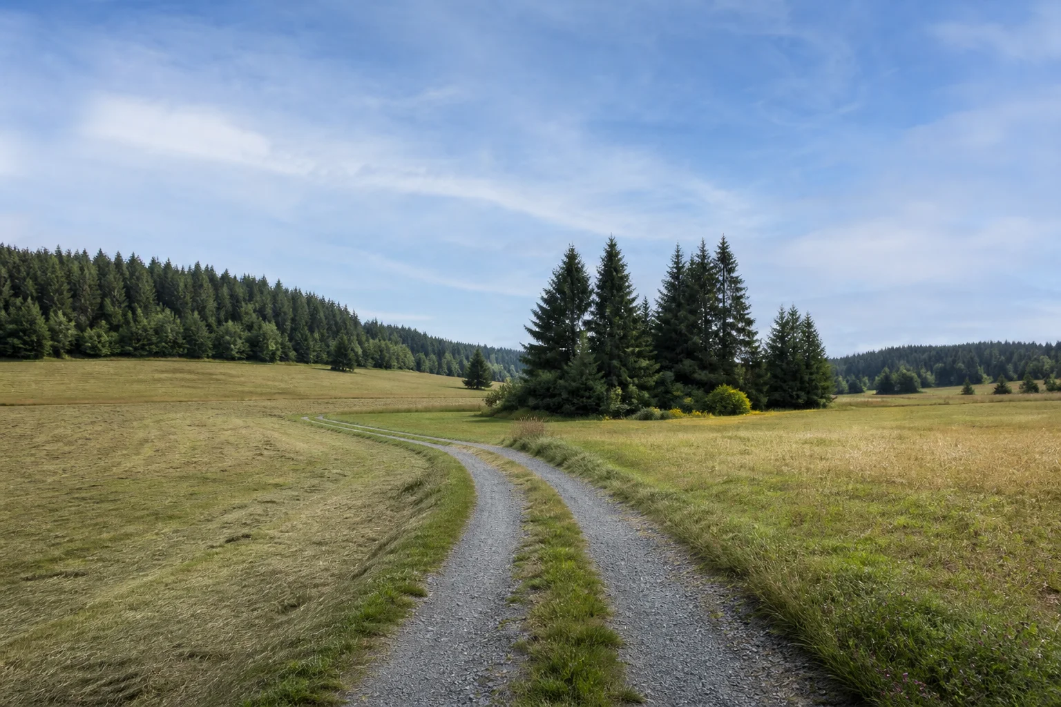 Bodenreuther Feldflur: Kiesweg zwischen gemähten Wiesen und Nadelwaldinseln, zurückhaltende ländliche Landschaft.