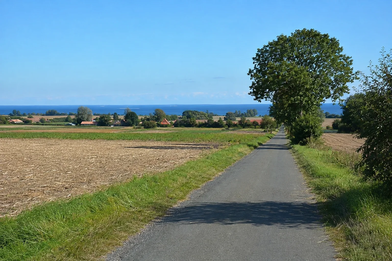 Petersdorfer Feldlandschaft: ebene landwirtschaftliche Insel mit kleinen roten Backsteinhäusern und Baumreihen in der Ferne