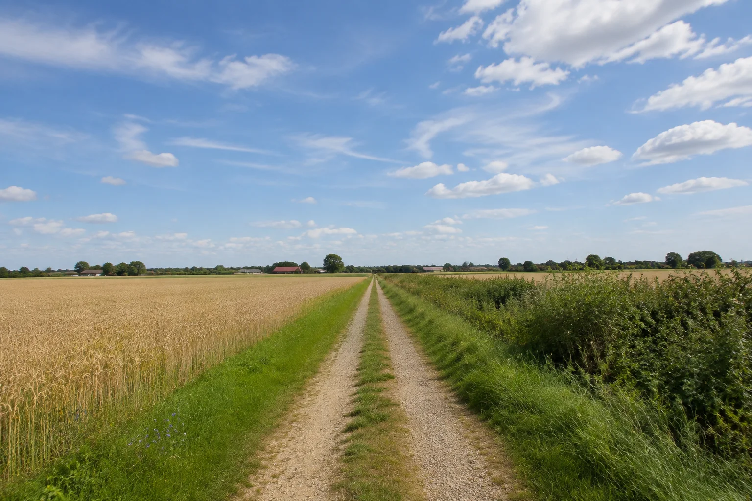 Fehmarn: Burg auf Fehmarn: Fehmarns Inselinneres: sehr flache weite Felder mit niedrigen Hecken und einem schmalen Feldweg unter großem Ostseehimmel