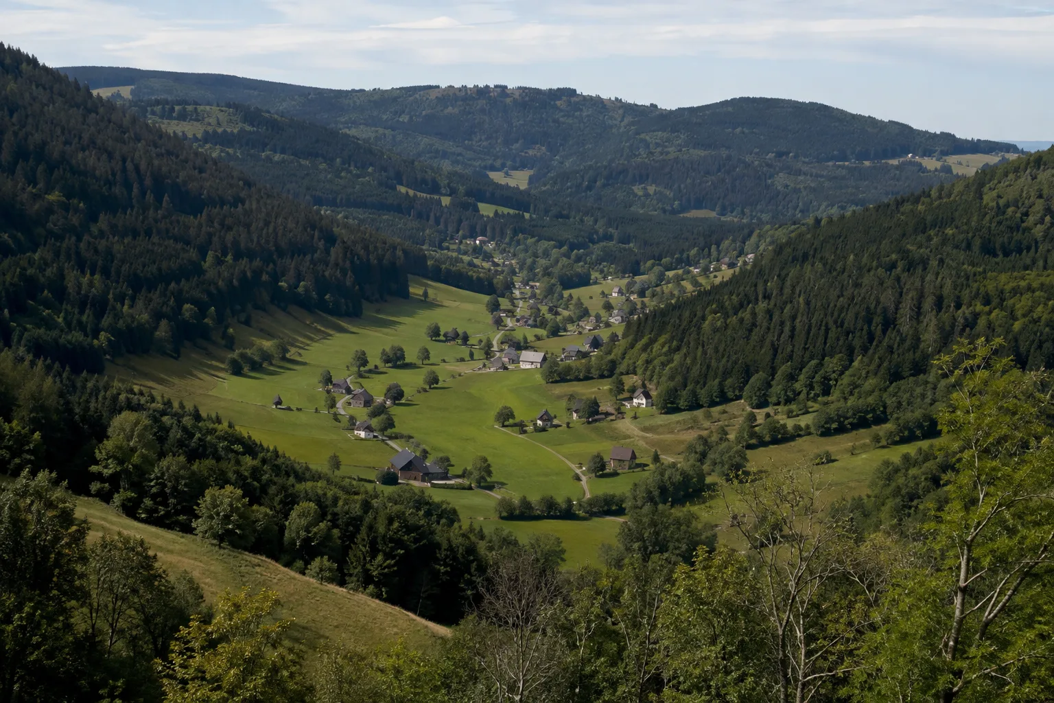 Bärental: Waldhänge und offene Wiesen im hoch gelegenen Ortsteil