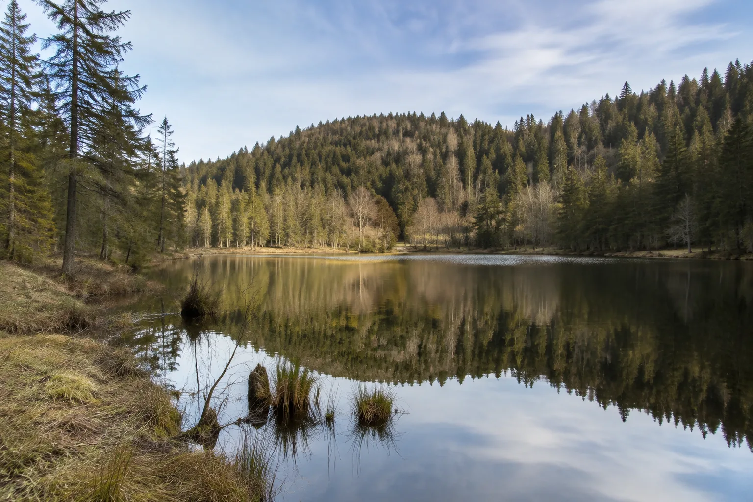 Falkau und Windgfällweiher: kleiner Waldsee zwischen sanften Höhen
